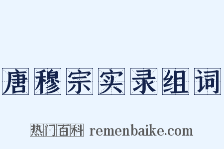 唐穆宗实录组词是什么意思的图片